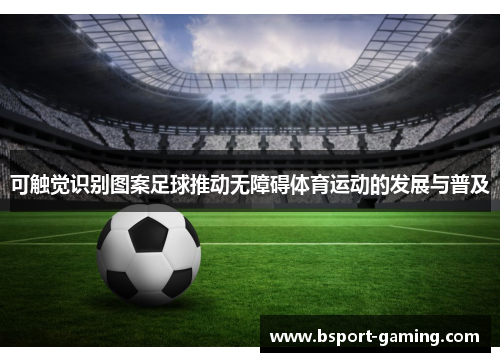 可触觉识别图案足球推动无障碍体育运动的发展与普及